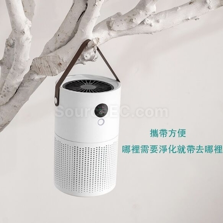 Negative Ion Air Purifier