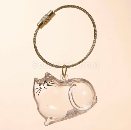 Cute Kitten Transparent Hair Storage Box