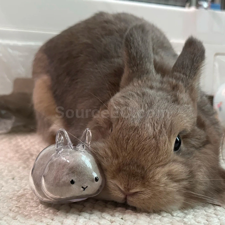 Cute Little Rabbit Transparent Hair Storage Box