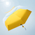 Pocket Umbrella