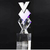 Crystal Trophy