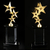 Crystal Trophy