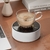 Portable Rotating Coaster