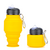 Folding Water Cup