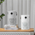 Negative Ion Air Purifier