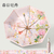 Double Layer Automatic Folding Umbrella