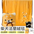 Shiba Inu Blanket