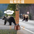 Outdoor Hiking Bear Bell Backpack Pendant with Whistle