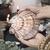 Shell Shaped Notebook