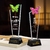 Crystal Trophy