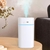 Humidifier