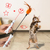 Laser Pointer + Detachable Cat Teaser