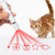 Laser Pointer + Detachable Cat Teaser