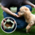 Silicone pet feeding bag