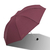 Folding Umbrella