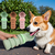 Collapsible pet water feeder