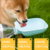 Pet outdoor water feeder