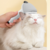 2-in-1 Pet Hair Removal and Sticky Comb