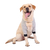 Pet Nnee Pads