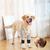 Pet Nnee Pads