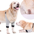 Pet Nnee Pads