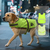 Pet Reflective Vest