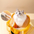 Pet Package