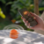 MOMAX Portable Bluetooth Subwoofer Speaker