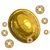 Golden Coin Turtle Toy