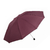 Folding Umbrella