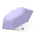 Folding Umbrella