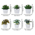 Artificial Green Plant