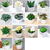 Artificial Green Plant