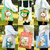 Pet Carrier Bag