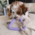 Pet Gnawing Toy