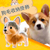 Cute Puppy Transparent Hair Storage Box