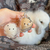 Cute Little Rabbit Transparent Hair Storage Box