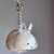 Cute Little Rabbit Transparent Hair Storage Box