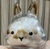 Cute Little Rabbit Transparent Hair Storage Box