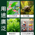 Douyu Building Block Fish Tank