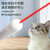 Cat Teaser