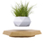 Magnetic Levitation Bonsai (Without Plants)