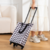 Portable foldable pull rod shopping cart