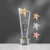 Gold/Silver/Bronze Star Crystal Trophy