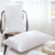 Compressed Pillow core (Pillow)