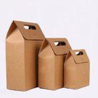 Kraft Paper Gift Bag