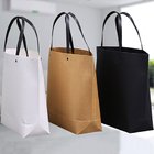 Paper Gift Bag