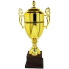 Trophy Cup