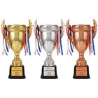 Gold, Silver and Bronze Trophies