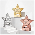 Resin Star Award Trophy